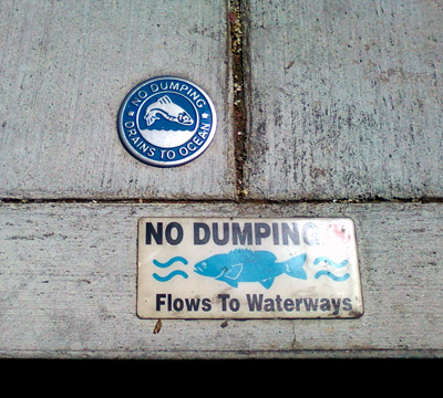No dumping signs glued to the pavement by a storm drain.