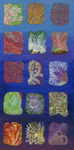Colorful painting of deepwater animals and plants of Flower Garden Banks National Marine Sanctuary