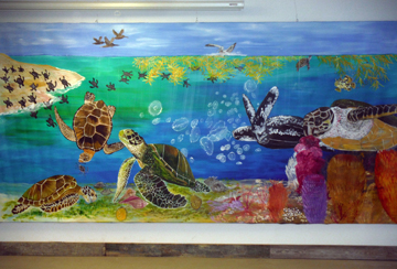 Sea turtles of the Gulf of Mexico mural on the wall at TIRN offices