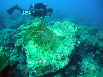 A scuba diver swimming above an overturned boulder of coral that is probably 4 times his size.