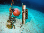 Two water quality instruments attached to a large railway wheel that is entirely buried under the sand on the sea floor.  One of the meters is partially buried as well.