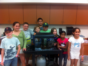 A group of 9 students gathered around a small aquarium housing a lionfish