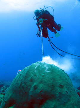 Diver using a drilling a core from a large coral head underwater.