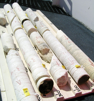 A wooden rack holding several coral cores on the deck of a boat.