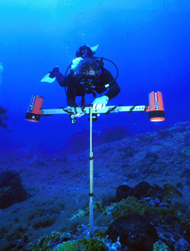 Diver positioning a metal t-frame on the reef to take a photograph