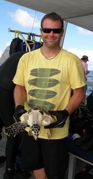 A man holding a sea turtle ready for release