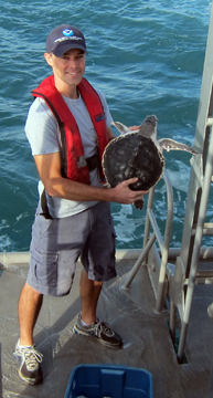 A man holds a Kemp's Ridley prior to release
