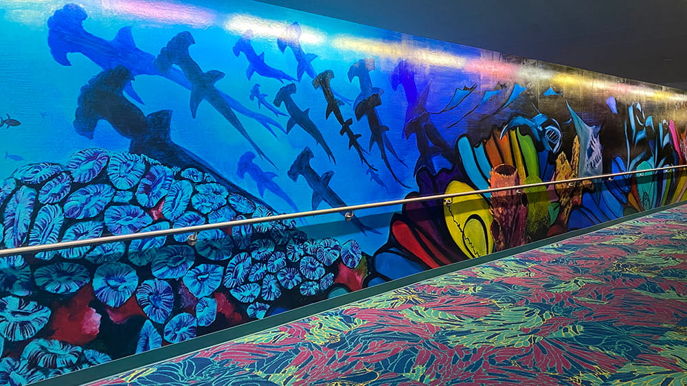 Hammerhead sharks swim over a colorful reef of coral and sponges in this section of the Aquarius Art Tunnel