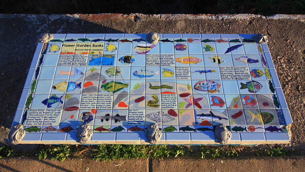 A concrete bench covered in painted ceramic tiles that feature fish and invertebrates from Flower Garden Banks National Marine Sanctuary