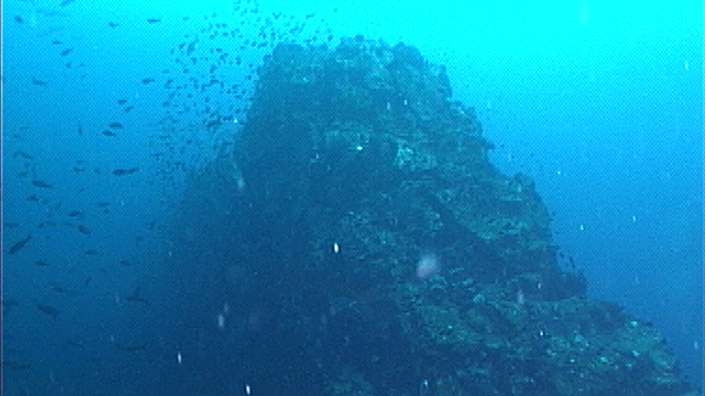 An underwater peak with fish swarming around it