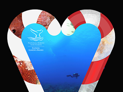 Two candy canes make a heart shape around a photo of a diver above the reef
