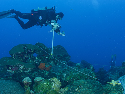 Diver using a t-frame camera mount to photograph a station on the reef