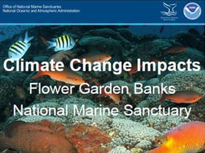 National Marine Sanctuaries header over an image of corals and fish with the title Climate Change Impacts Flower Garden Banks National Marine Sanctuary