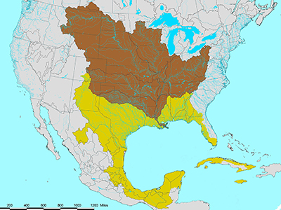 Map showing the Gulf of Mexico watershed spread across the central part of North American and part of Cuba