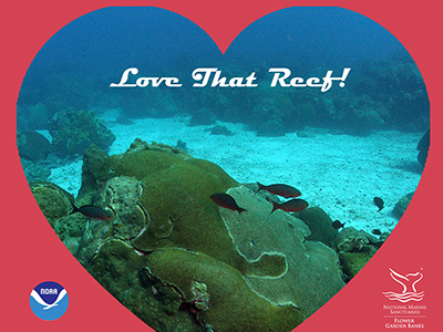 A red background with a heart-shaped image of the reef in the middle with the phrase Love That Reef