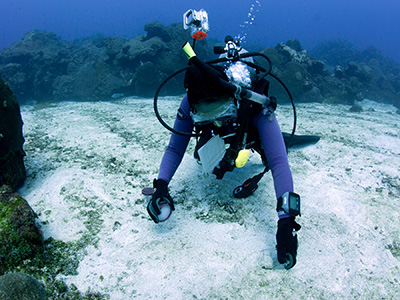 A diver scooping up a sediment sample from a sand flat in the sanctuary