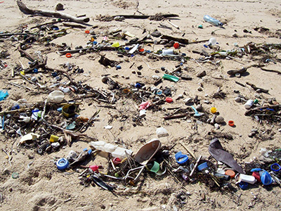 Colorful bits of plastic mixed in with natural flotsam on a beach