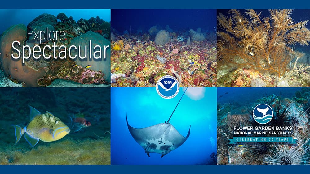 Collage of 6 images showing sanctuary habitats and animals overlaid with Explore Spectacular and the sanctuary logo