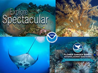 4 images of sanctuary reefs, manta ray, sea urchins and black coral with Explore Spectacular and the sanctuary logo overlaid on top