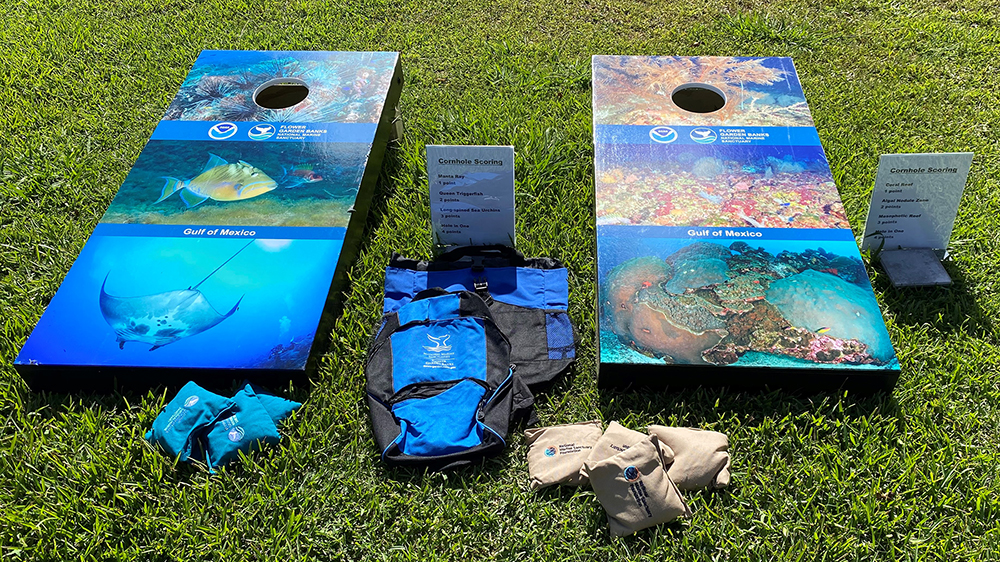Two cornhole boards, decorated with colorful sanctuary images, rest on a grassy lawn with beanbags showing the sanctuary and National Marine Sanctuary Foundation logos nearby. 