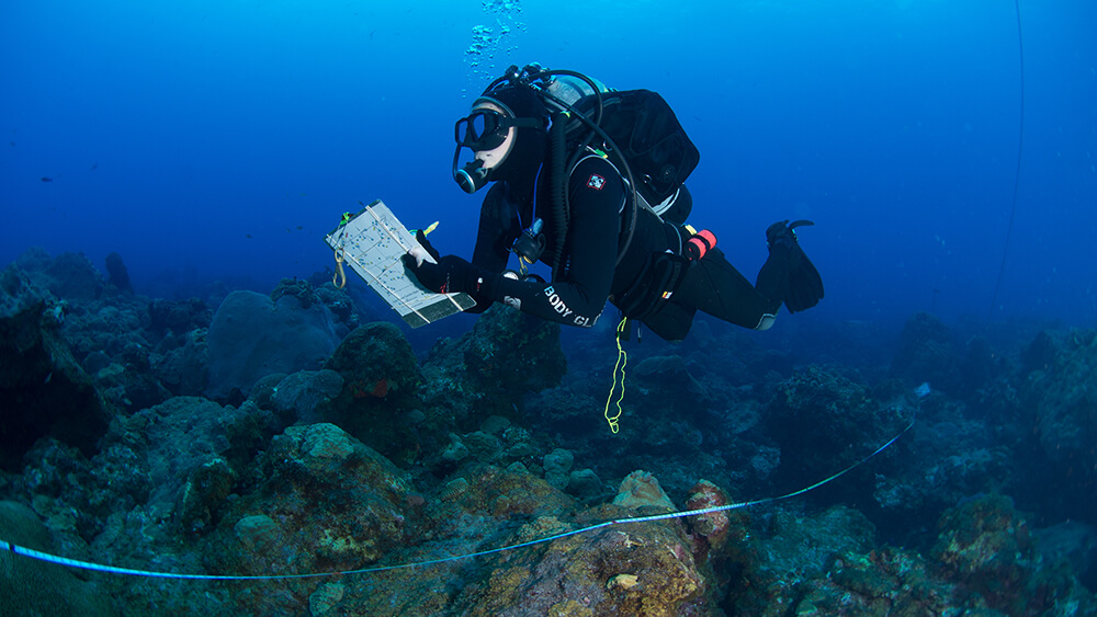 A diver with a clipboard swimming over the reef