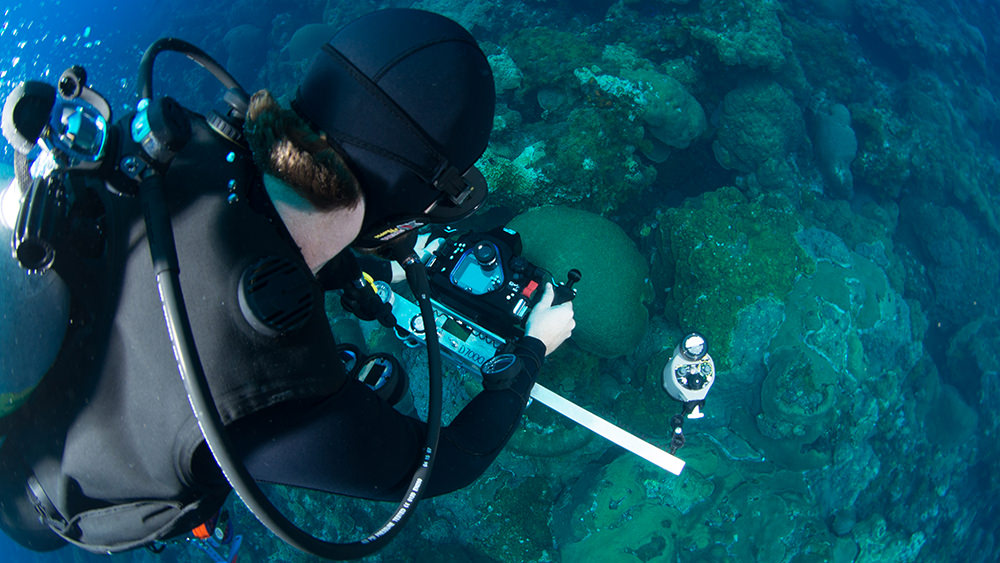 Looking over the shoulder of a diver taking a photo on the reef