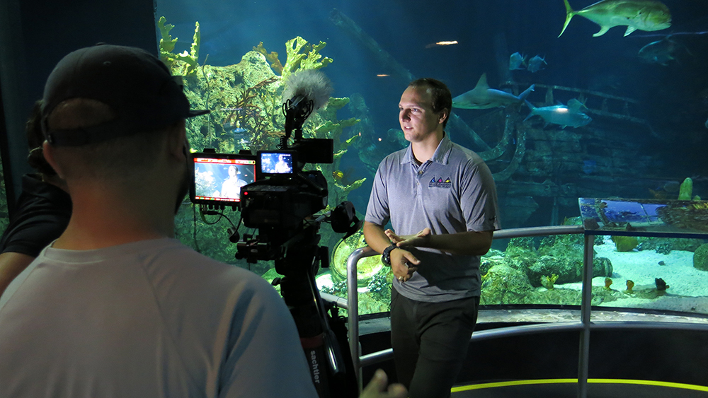 Jake being interviewed in front of a large aquarium for a video about sanctuary expansion