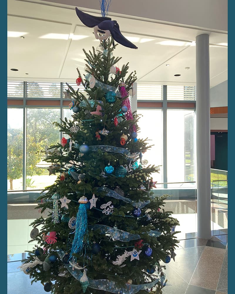 Christmas tree decorated with coral reef themed ornaments