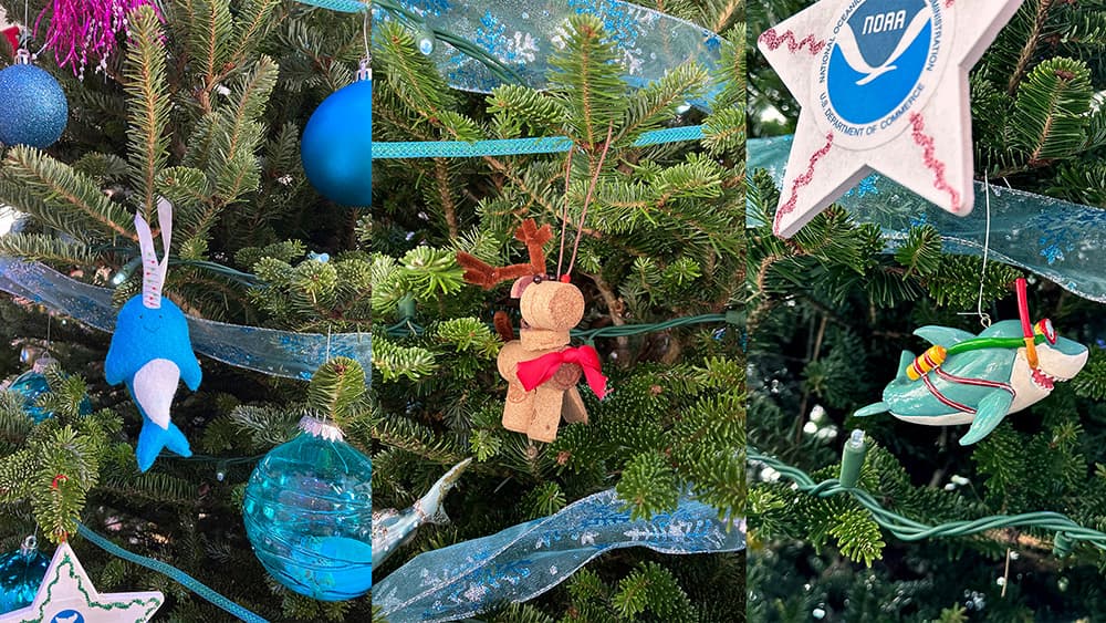Close up views of narwhal, reindeer, and scuba shark ornaments