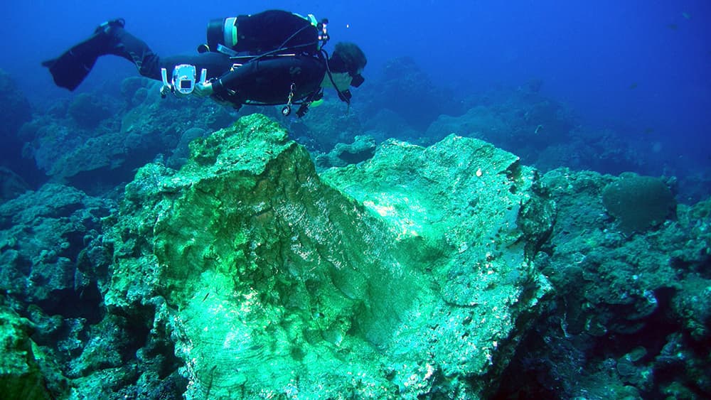 A diver swims past a large, overturned coral on the reef