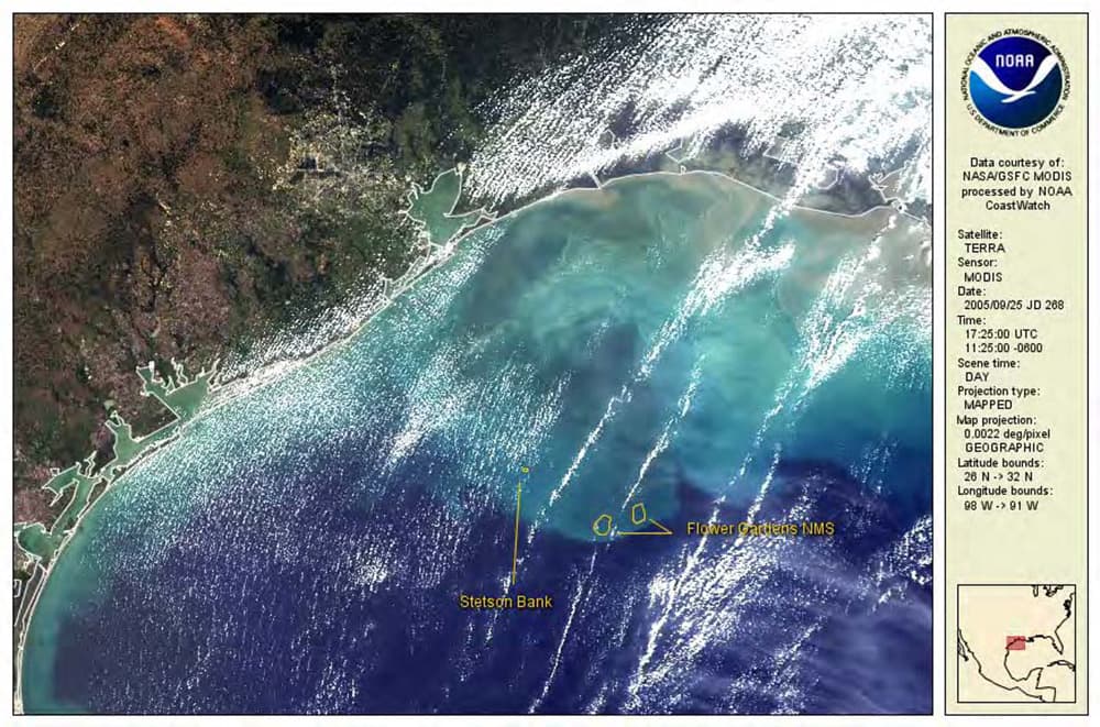 A satellite image of the Gulf of Mexico showing a large patch of brown water coming from the coast and reaching out to the sanctuary