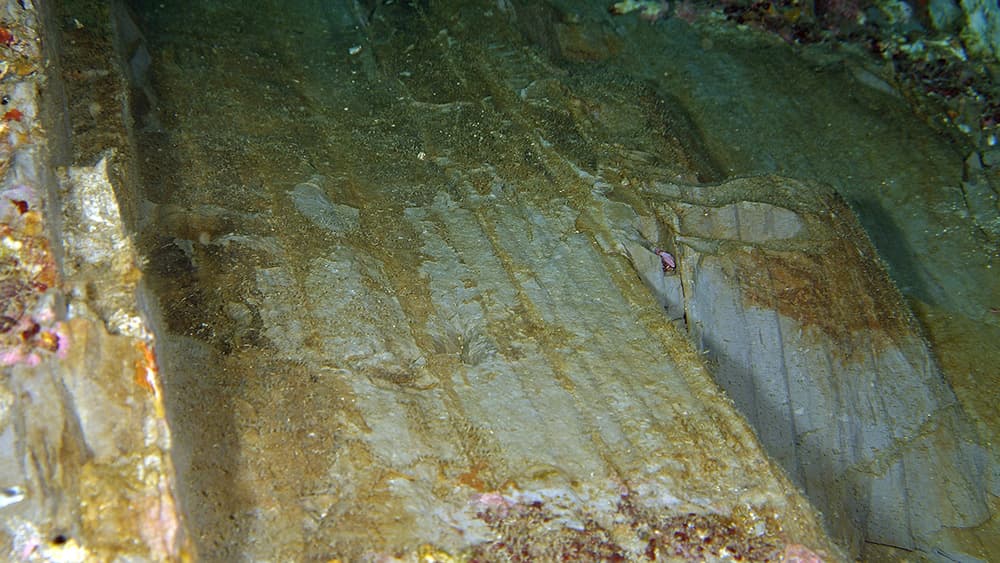 Bare rock showing its natural striations.