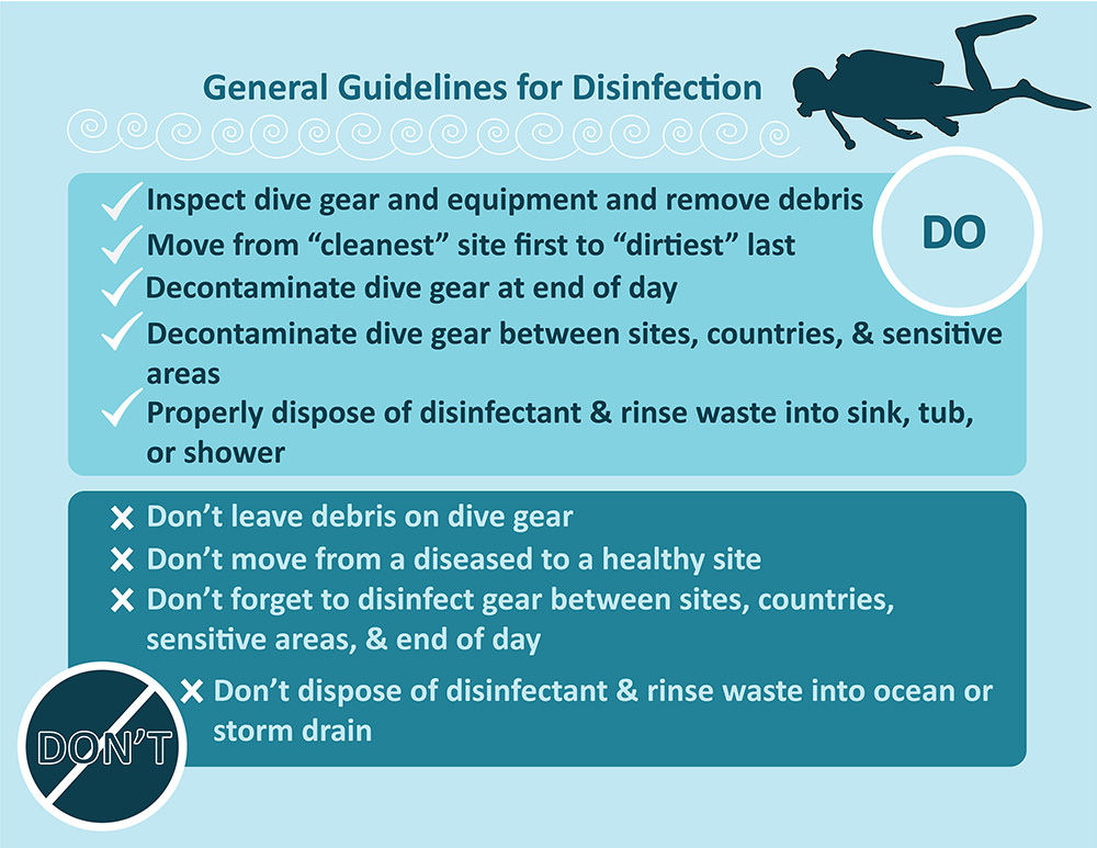 General Guidelines for Disinfection infographic