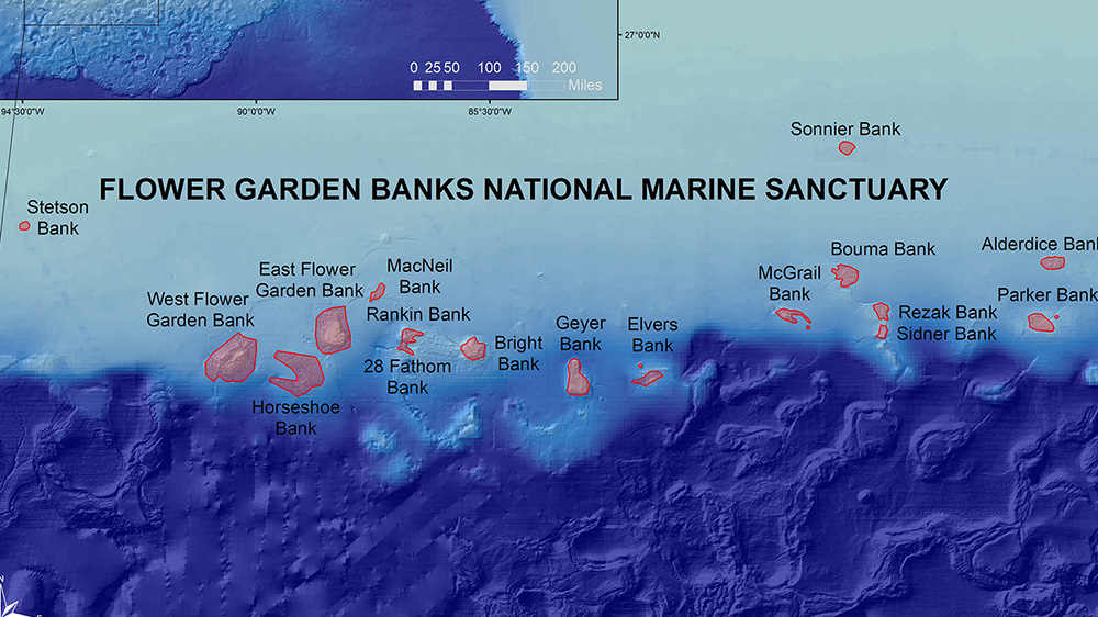 Map showing all of sanctuary banks