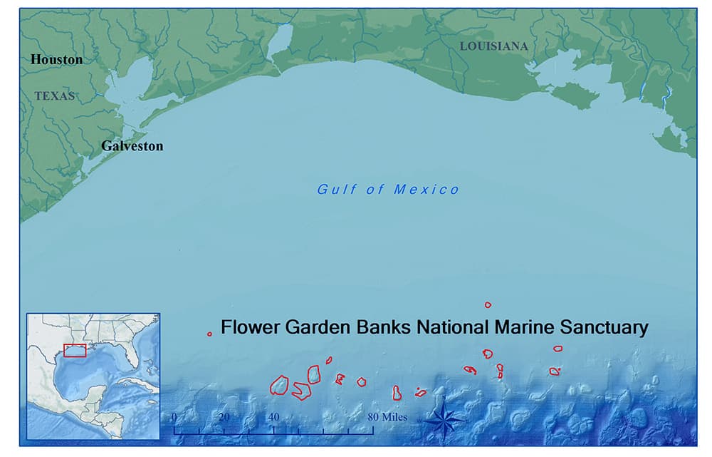 Atlas style map of Flower Garden Banks National Marine Sanctuary.  Inset map shows relative location to coastal United States in the Gulf of Mexico.