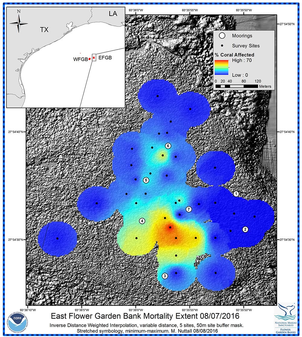 Map of the coral reef cap at East Flower Garden Bank as of 8/7/16 with numbers showing mooring buoy locations. Colors from blue to yellow to red indicate 0-70% mortality of coral around these buoy areas, resulting from a mysterious mass mortality event
