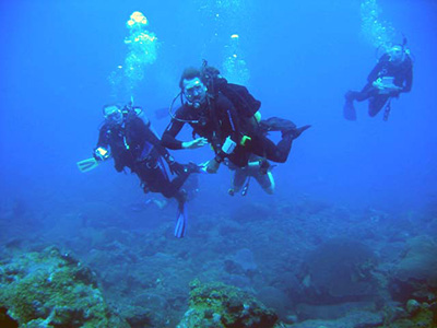 Three scuba divers swimming above a reef