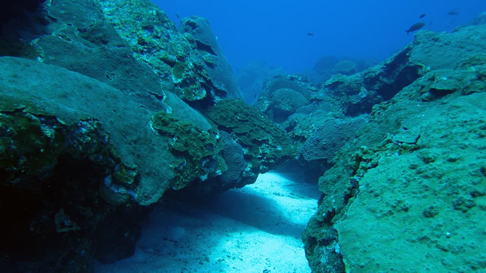 A sand channel fills space between two sections of reef