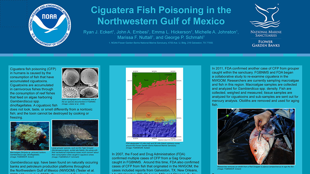 Top of a scientific poster about ciguatera fish poisoning