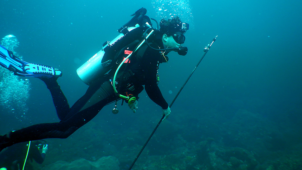 diver swimming with a tagging spear