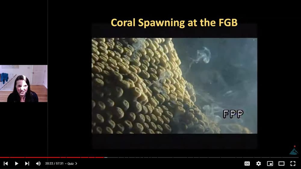 A a screen capture of a person speaking about coral spawning during a webinar