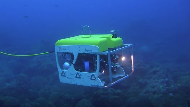 A remotely operated vehicle moving above a reef